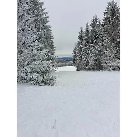 Wellness With Garden, Cleaning Included * Schnett