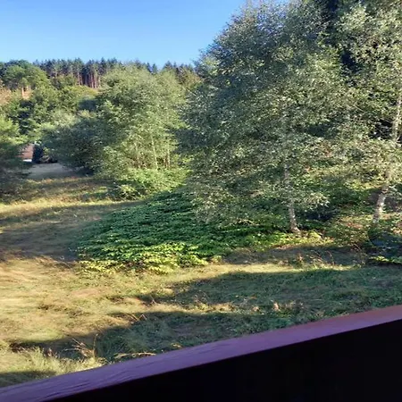 Wellness With Garden, Cleaning Included Hébergement de vacances Schnett